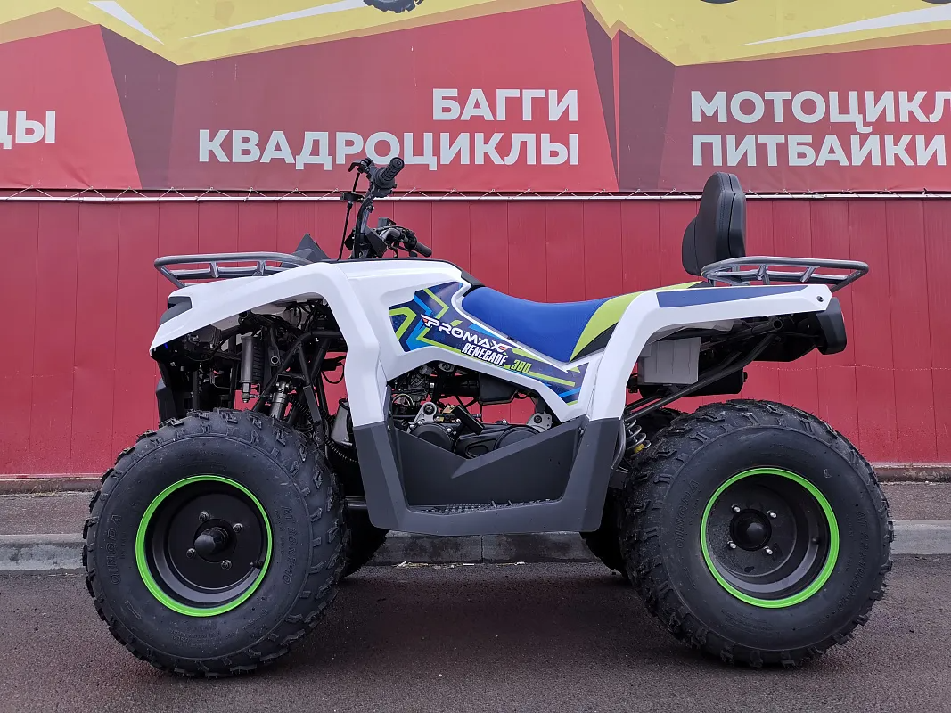 Квадроцикл PROMAX RENEGADE 280 (2025)