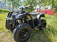 Квадроцикл PROMAX ATV 250 (2025)