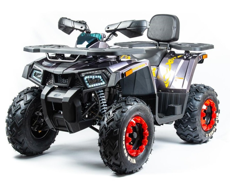 Квадроцикл MOTOLAND 200 Wild Track X PRO