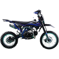 Питбайк RACER TRZ140E